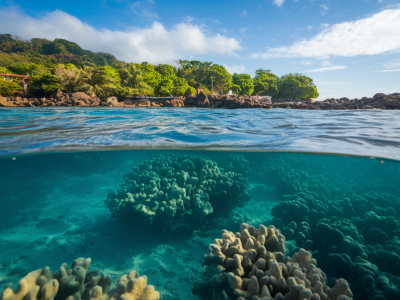 Where to find beginner-friendly snorkel coves near papagayo that are wind-sheltered and safe at low tide
